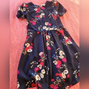 POPSUGAR Navy and Pink Floral Dress